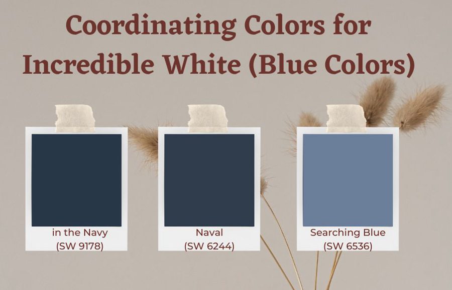 Coordinating Colors for Incredible White (Blue Colors)