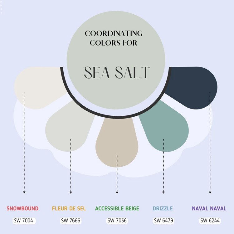 Coordinating Colors for Sea Salt