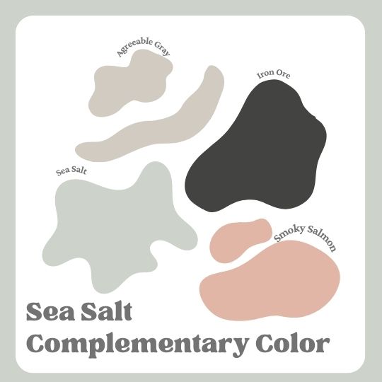 Sea Salt Complementary Color