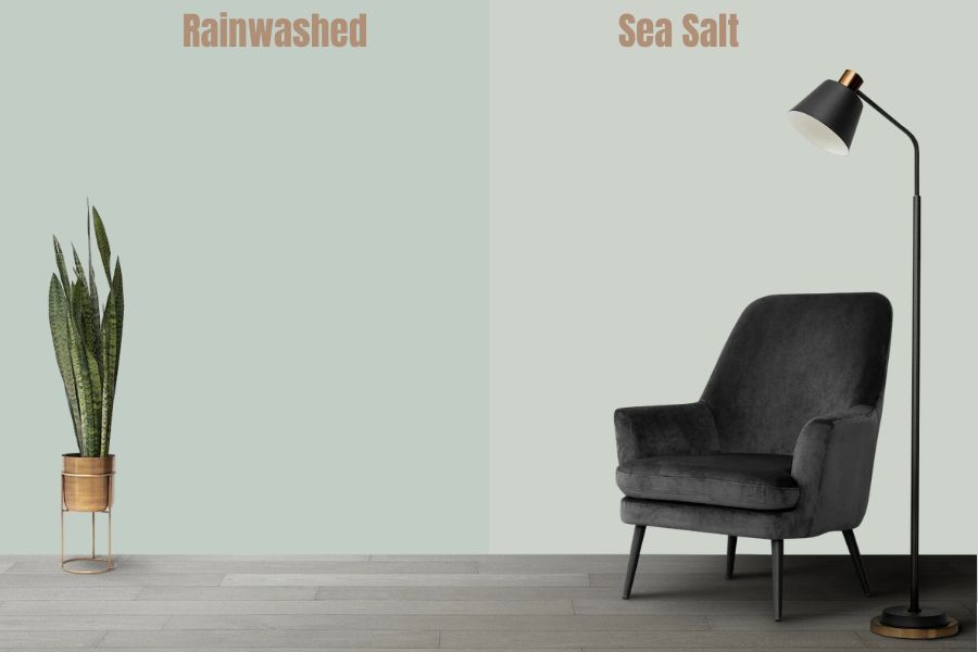 Sherwin Williams Rainwashed vs Sea Salt