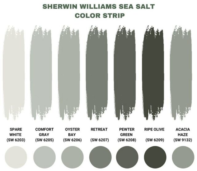 Sherwin Williams Sea Salt (Palette, Coordinating & Inspirations)