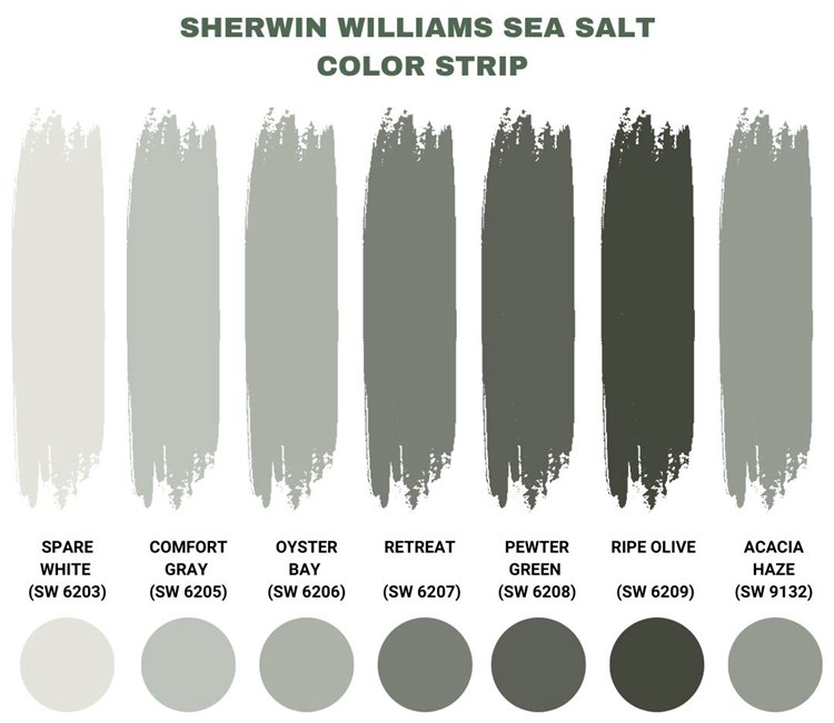 Sherwin Williams Sea Salt Color Strip