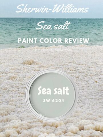 Sherwin Williams Sea Salt Paint Color Review
