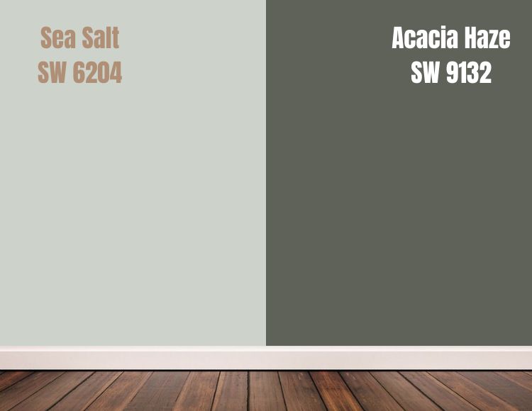 Sherwin Williams Sea Salt vs Acacia Haze(SW 9132)
