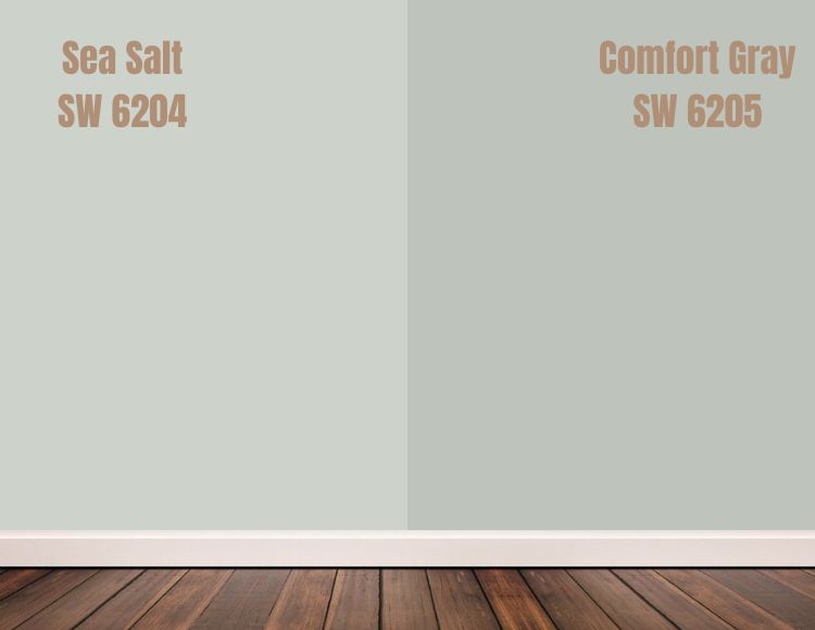 Sherwin Williams Sea Salt vs Comfort Gray (SW 6205)