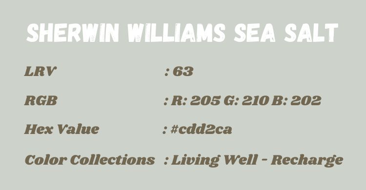 What Color is Sherwin Williams Sea Salt