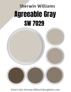 Sherwin Williams Agreeable Gray (SW 7029) Paint Color Review