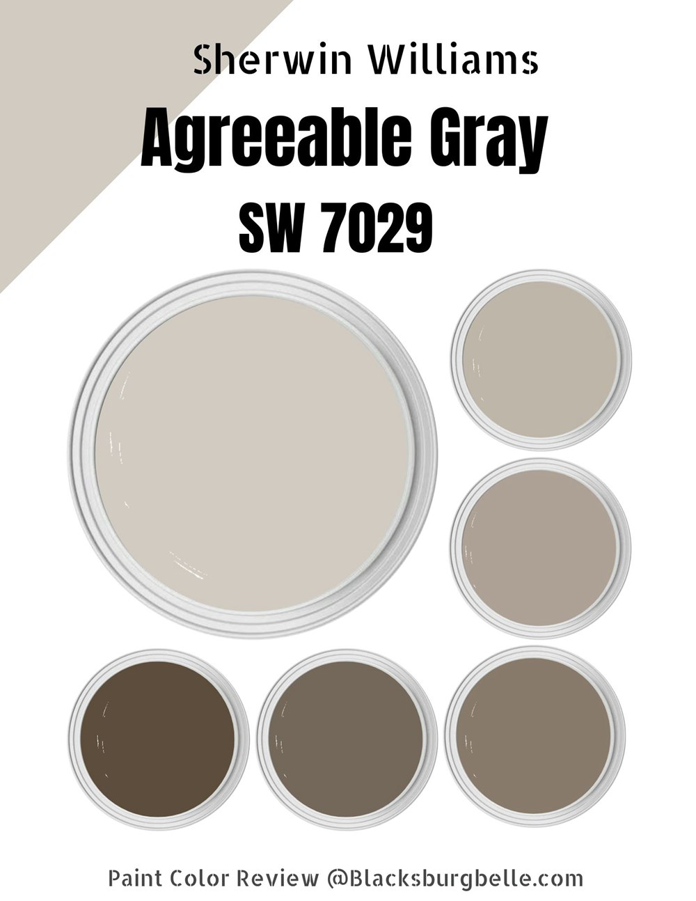 Agreeable gray shop coordinating colors