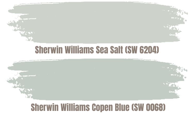 Sherwin Williams Sea Salt (SW 6204)