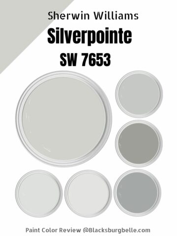 Sherwin Williams Silverpointe (SW 7653) Color Review & Pics