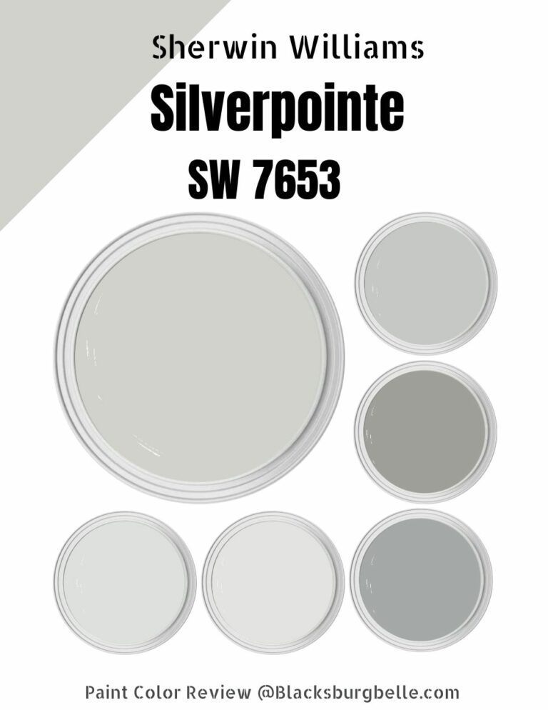 Sherwin Williams Silverpointe (SW 7653) Color Review & Pics