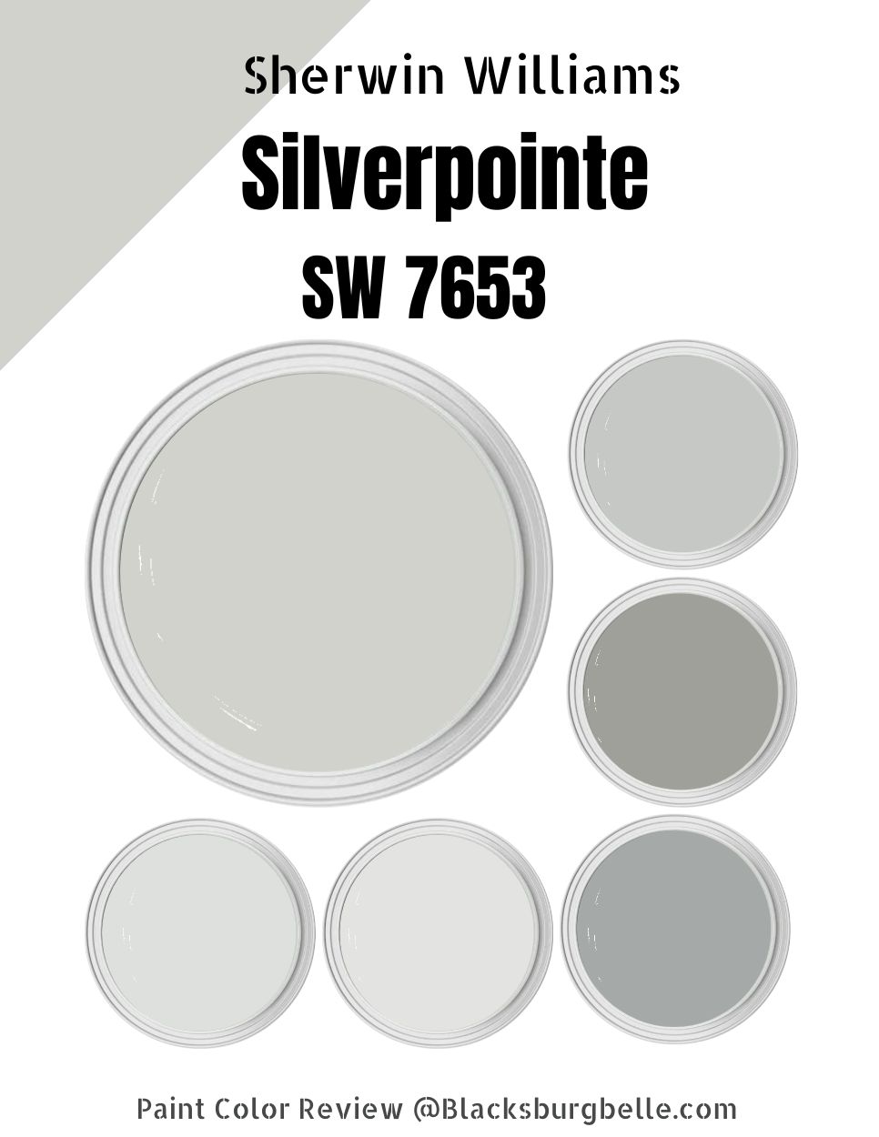 Sherwin Williams Silverpointe (SW 7653) Color Review & Pics