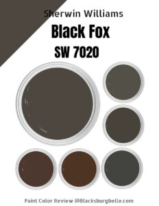 Sherwin Williams Black Fox (SW 7020) Paint Color Review