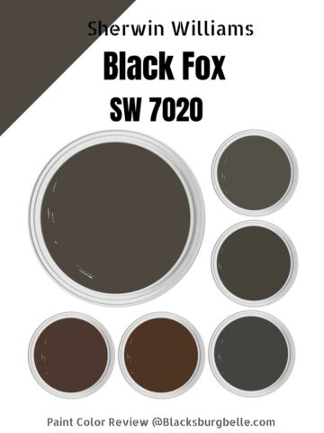 Sherwin Williams Black Fox (SW 7020) Paint Color Review