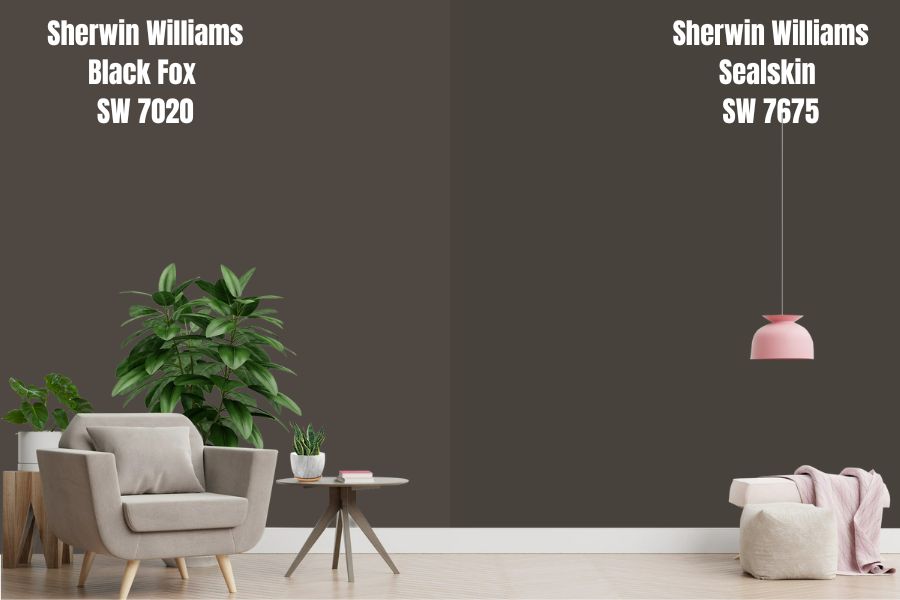 Sherwin Williams Black Fox vs. Sealskin (SW 7675)