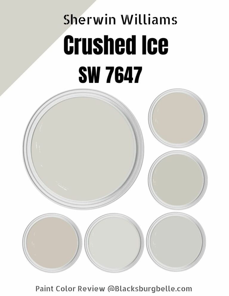 Sherwin Williams Crushed Ice (SW 7647) Paint Color Review