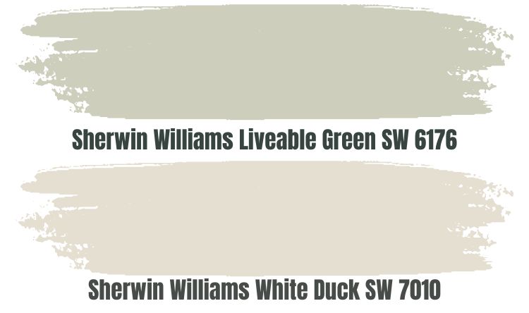 Sherwin Williams Liveable Green SW 6176