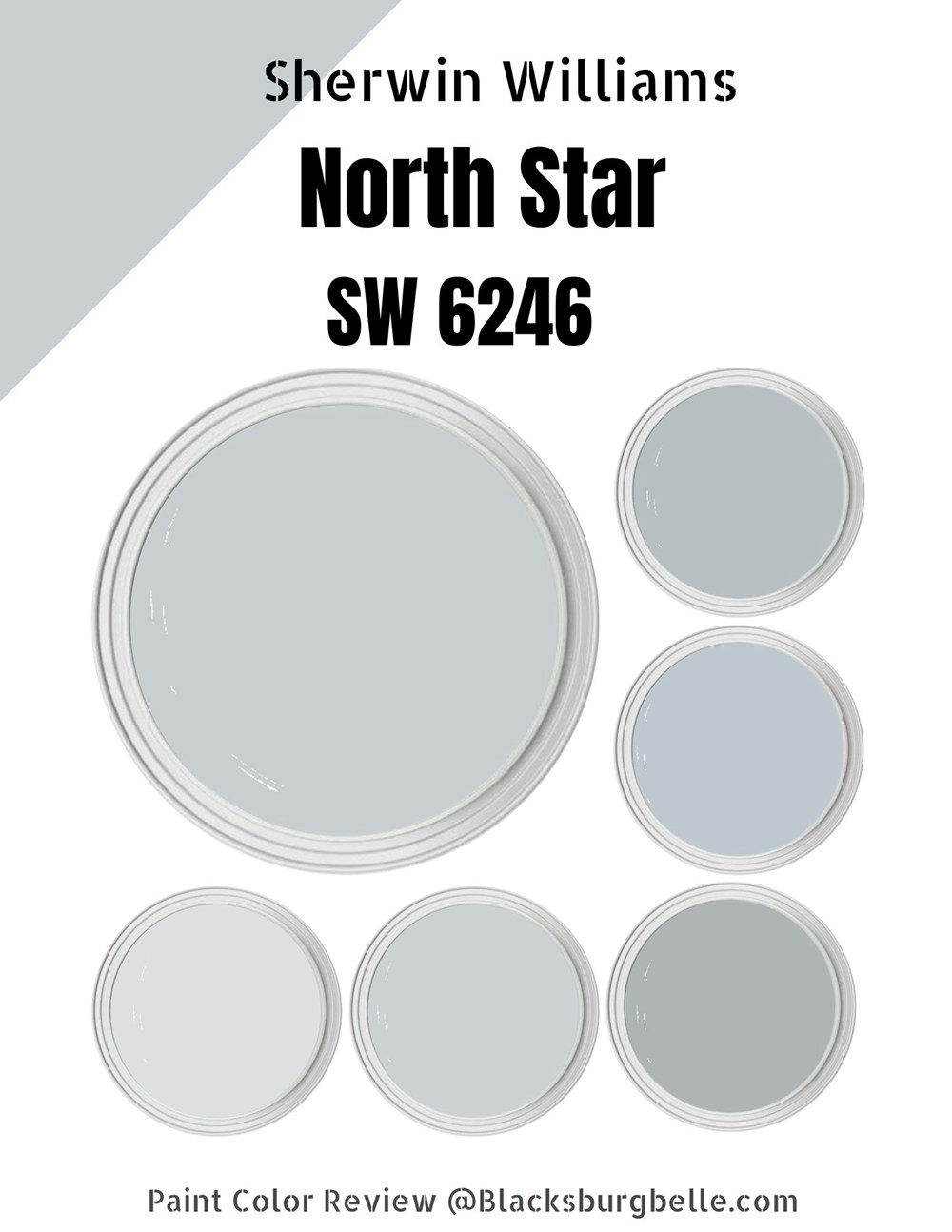 Sherwin Williams North Star (SW 6246) Paint Color Review & Pics