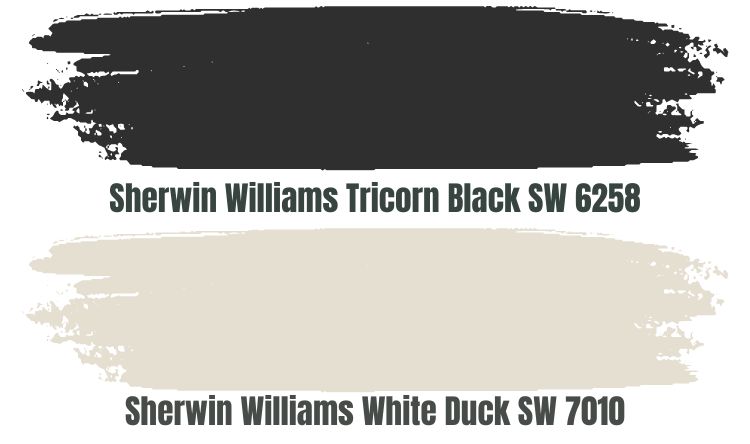 Sherwin Williams Tricorn Black SW 6258