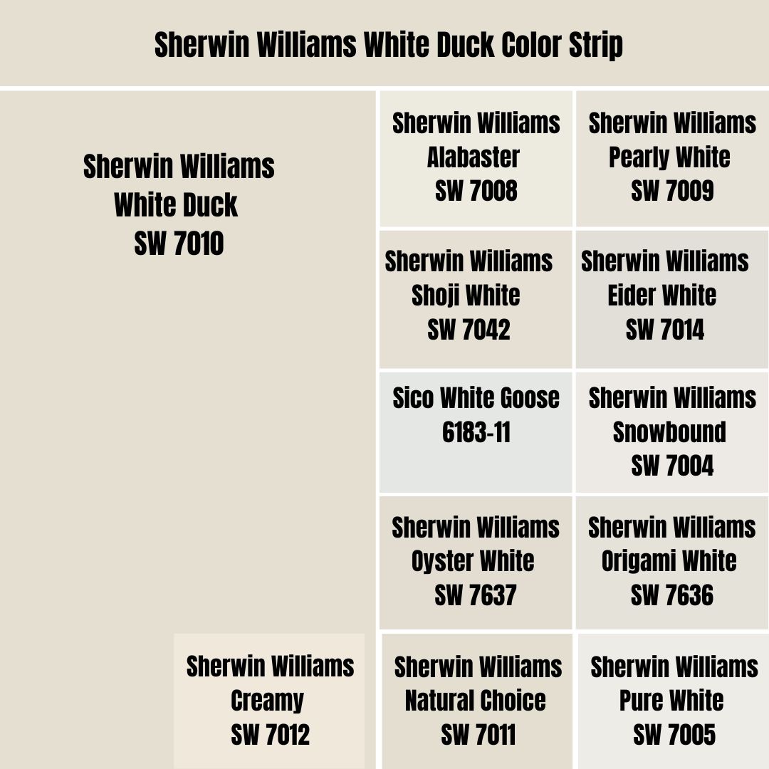 Sherwin Williams White Duck Color Strip