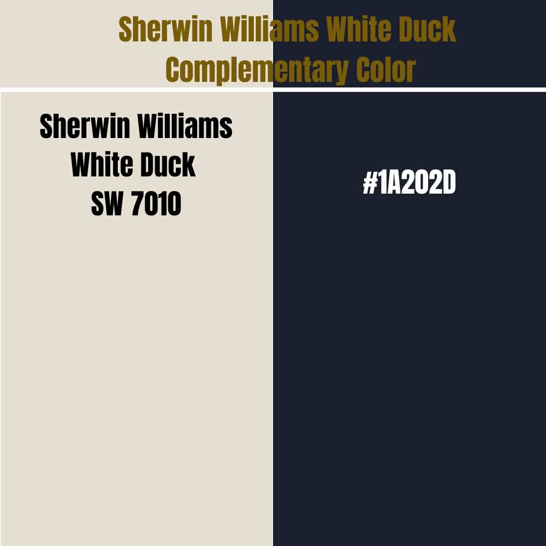 Sherwin Williams White Duck Complementary Color