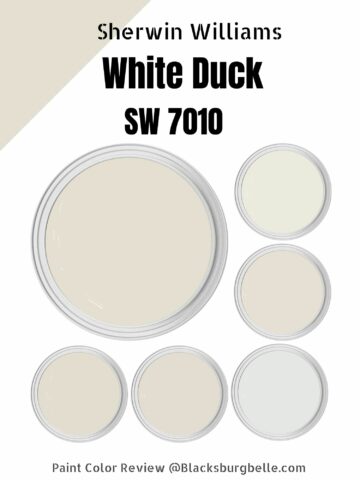 Sherwin Williams White Duck (SW 7010) Paint Color Review & Pics