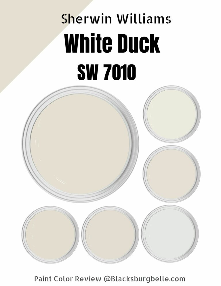 Sherwin Williams White Duck (SW 7010) Paint Color Review & Pics