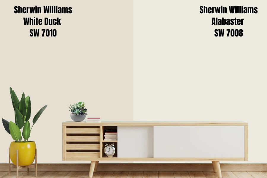 Sherwin Williams White Duck vs. Alabaster (SW 7008)
