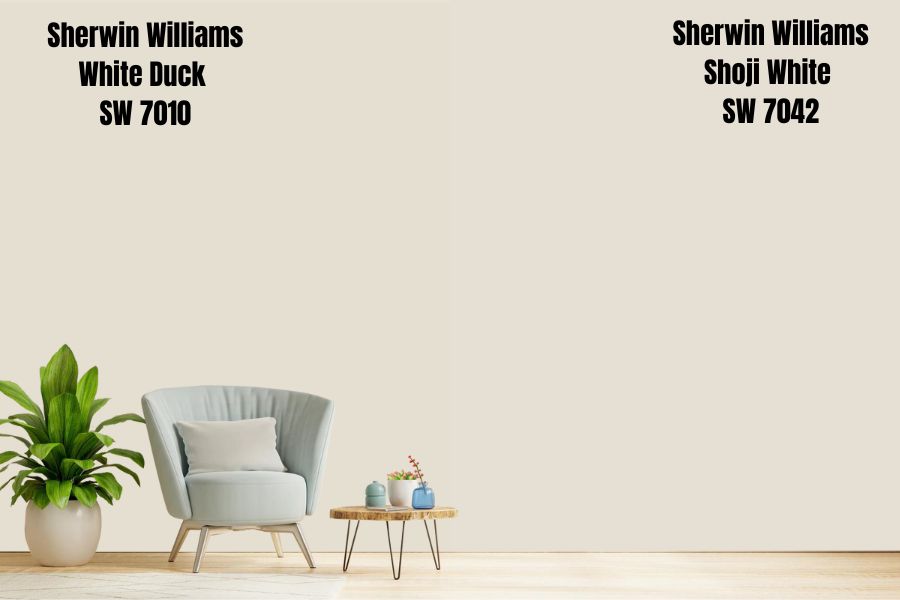 Sherwin Williams White Duck vs. Shoji White (SW 7042)