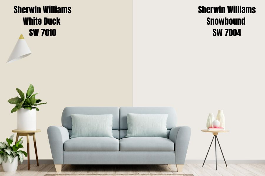 Sherwin Williams White Duck vs. Snowbound (SW 7004)