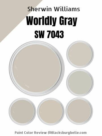 Sherwin Williams Worldly Gray (SW 7043) Paint Color Review & Pics