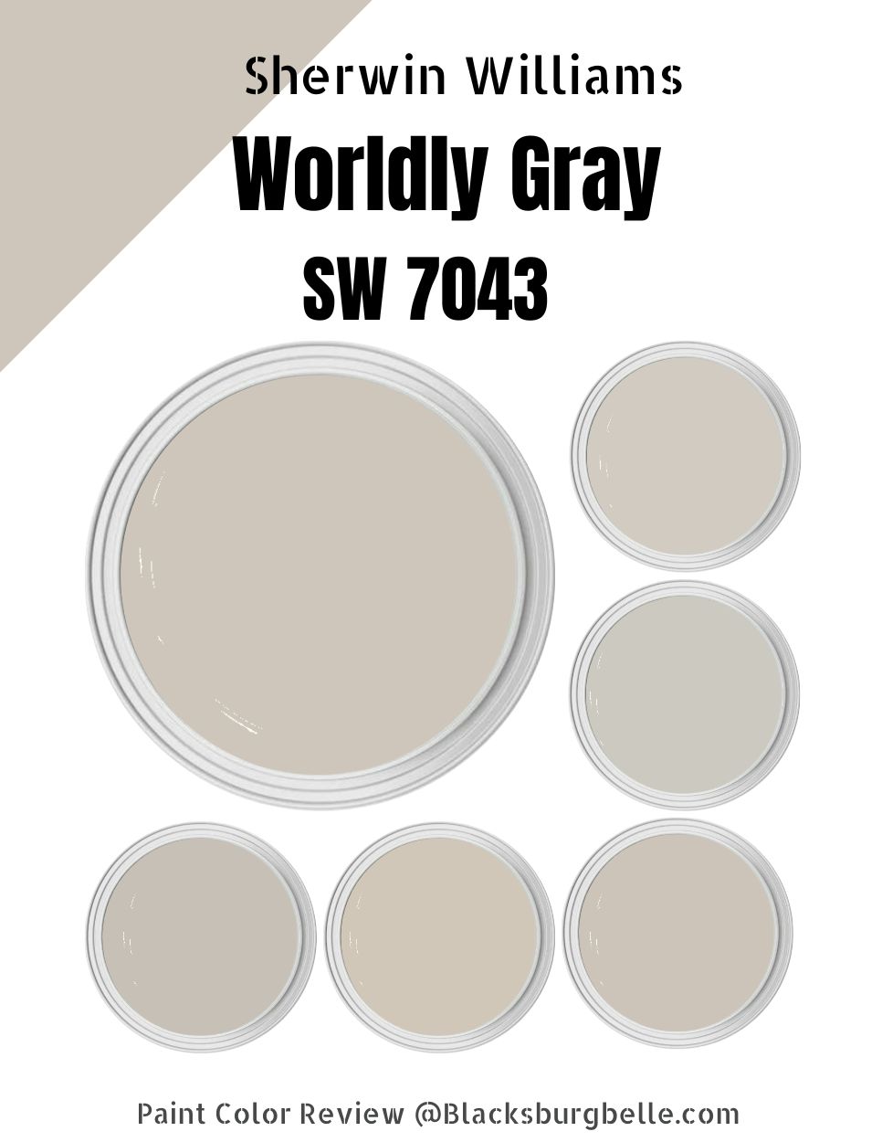 Sherwin Williams Worldly Gray (SW 7043) Paint Color Review & Pics