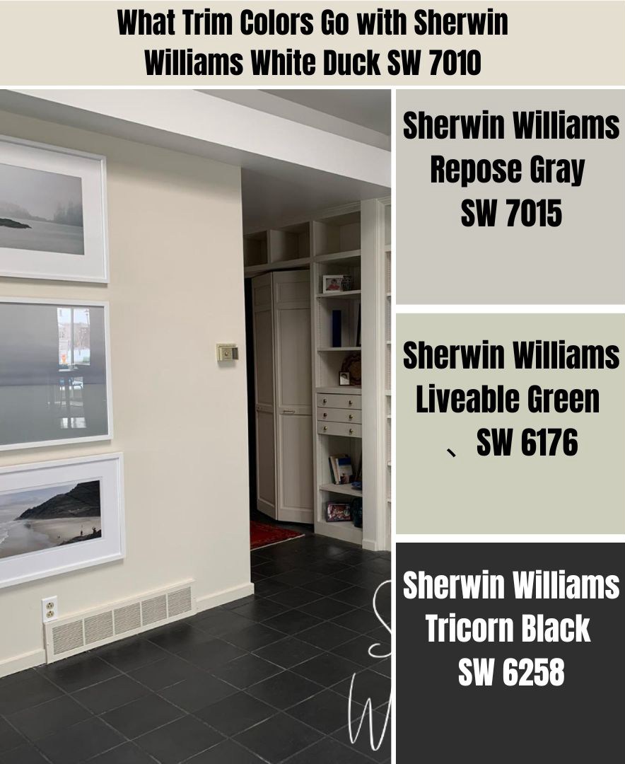 What Trim Colors Go with Sherwin Williams White Duck SW 7010