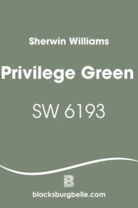 48-Sherwin-Williams-Privilege-Green