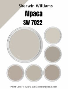 Sherwin Williams Alpaca (SW 7022) Paint Color Review & Pics