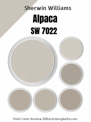 Sherwin Williams Alpaca (SW 7022) Paint Color Review & Pics