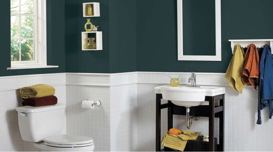 Sherwin Williams Cascades Bathroom02