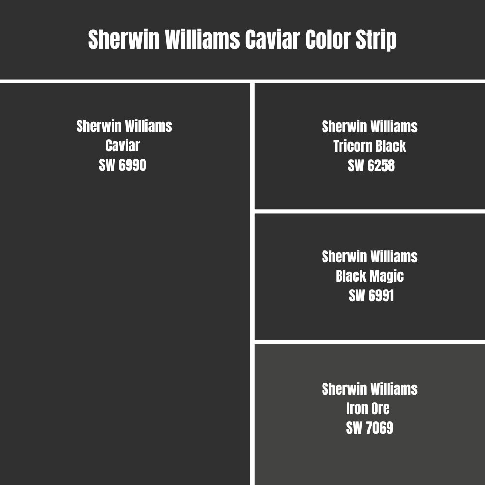 Sherwin Williams Caviar Color Strip