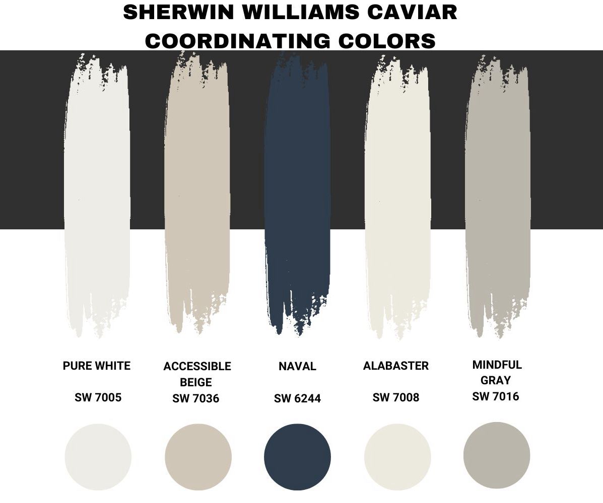 Sherwin Williams Caviar Coordinating Colors