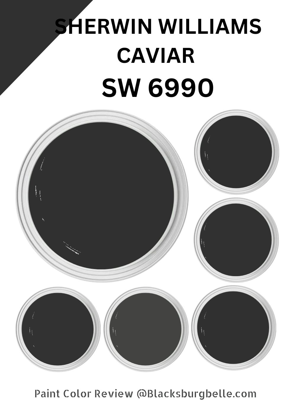 Sherwin Williams Caviar (SW 6990) Paint Color Review & Pics