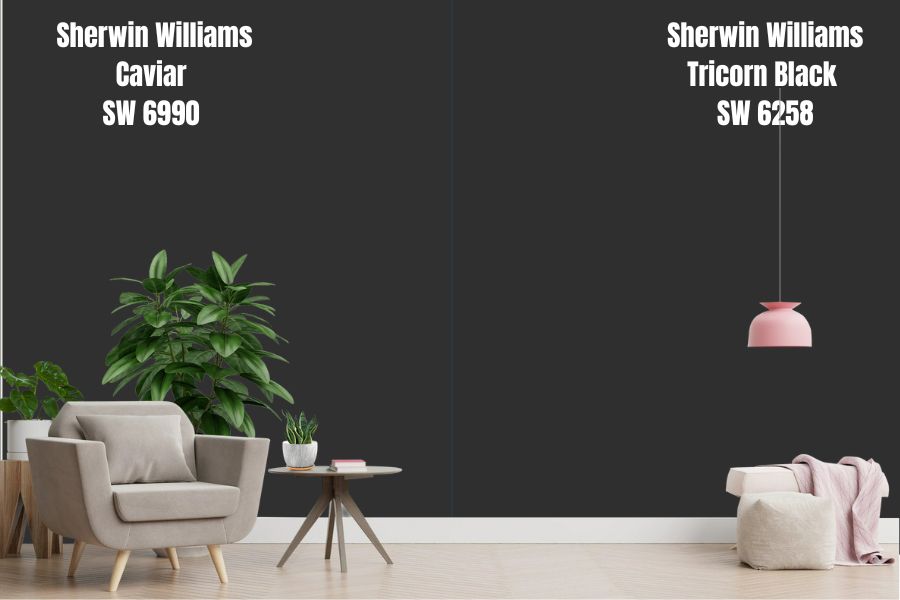 Sherwin Williams Caviar vs. Tricorn Black SW 6258