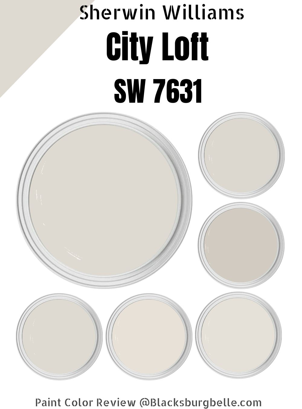 Sherwin Williams City Loft (SW 7631) Paint Color Review & Pics