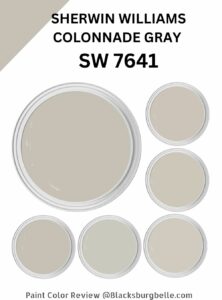 Sherwin Williams Colonnade Gray (SW 7641) Paint Color Review & Pics