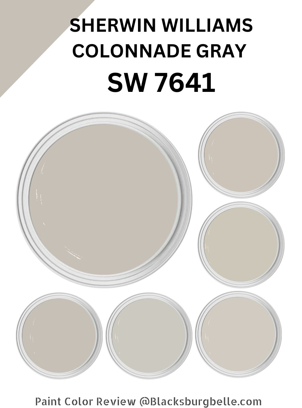 Sherwin Williams Colonnade Gray (SW 7641) Paint Color Review & Pics