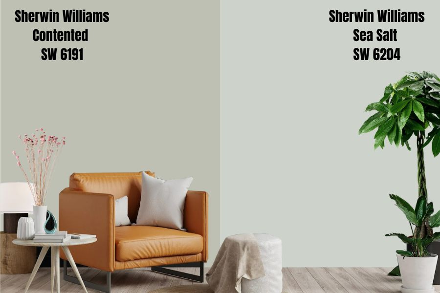 Sherwin Williams Contented vs. Sea Salt SW 6204