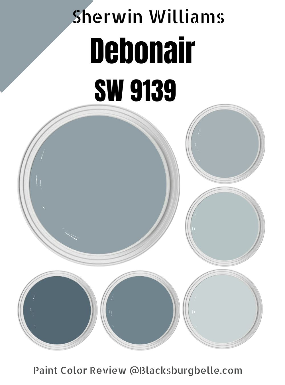 Sherwin Williams Debonair (SW 9139) Paint Color Review