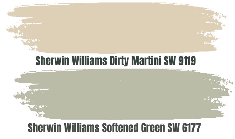 Sherwin Williams Dirty Martini SW 9119