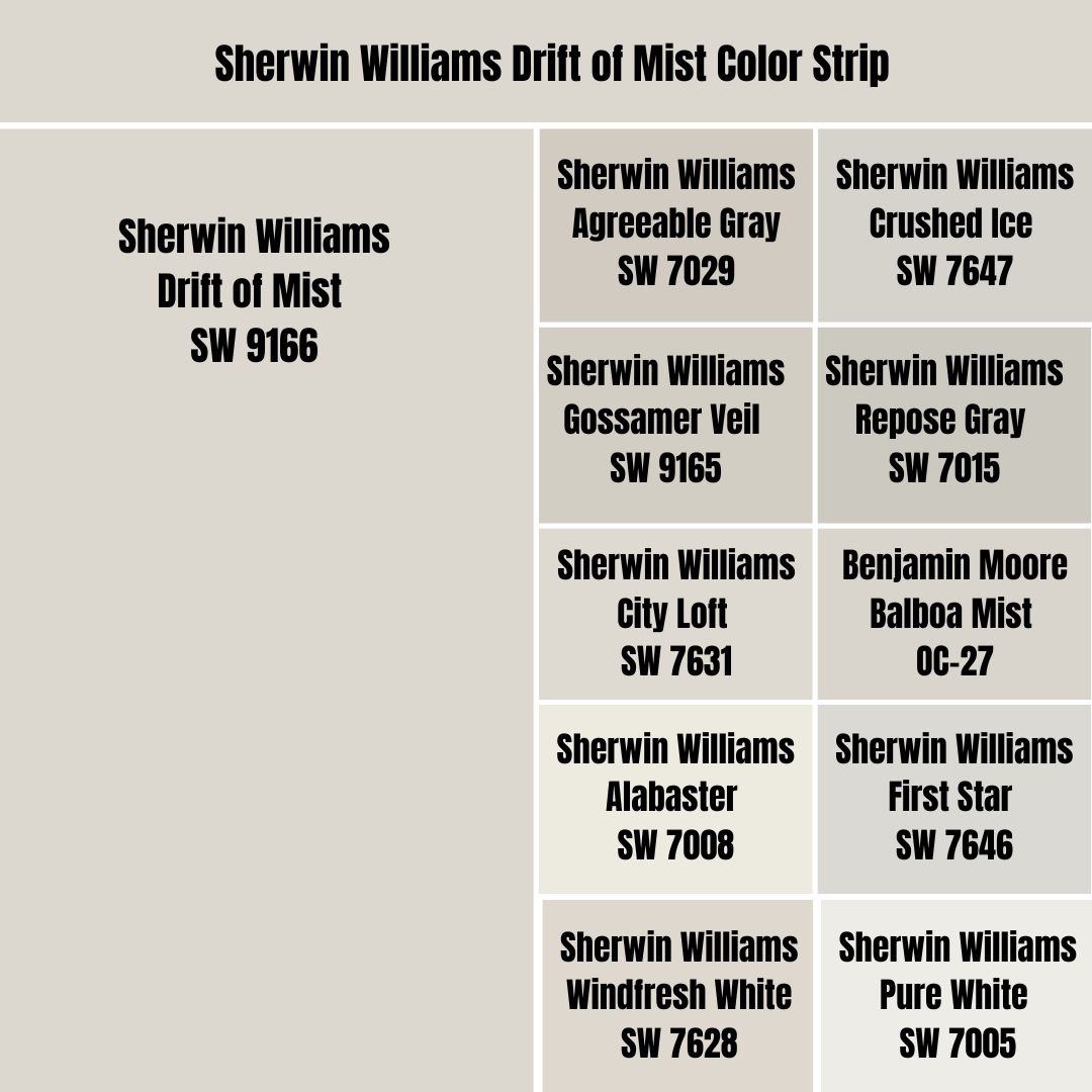 Sherwin Williams Drift of Mist Color Strip