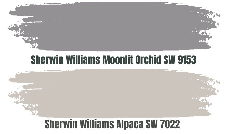Sherwin Williams Moonlit Orchid SW 9153