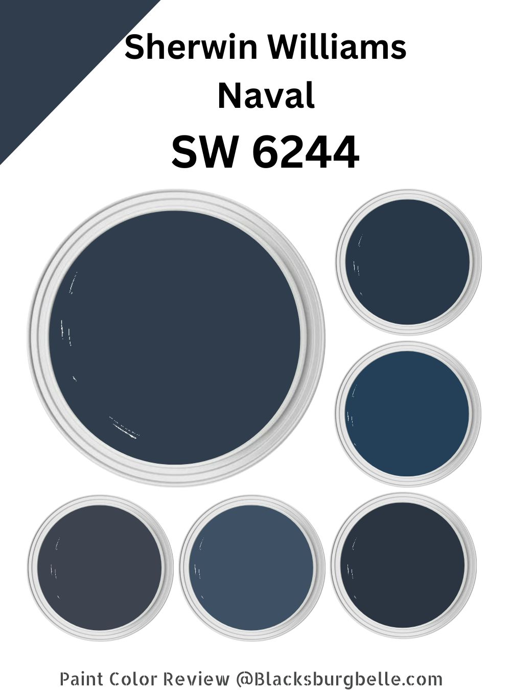 Sherwin Williams Naval SW 6244